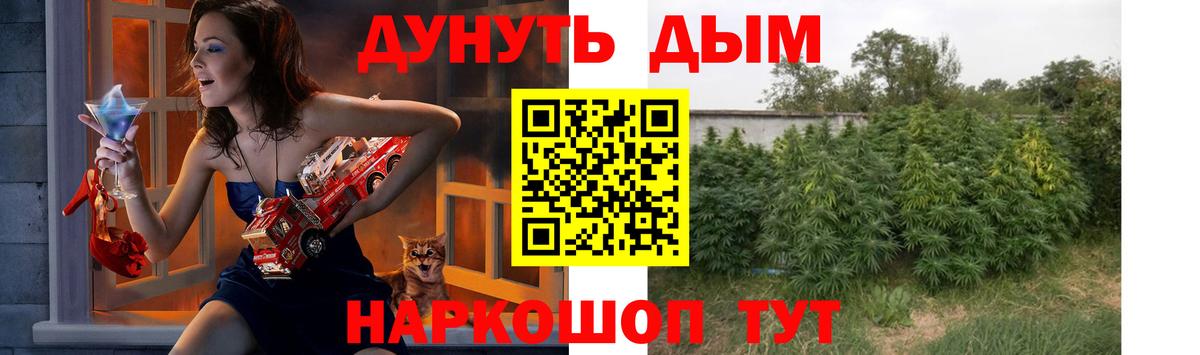 Бошки Шишки OG Kush Дубна